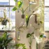 Eliza Vase - Clear